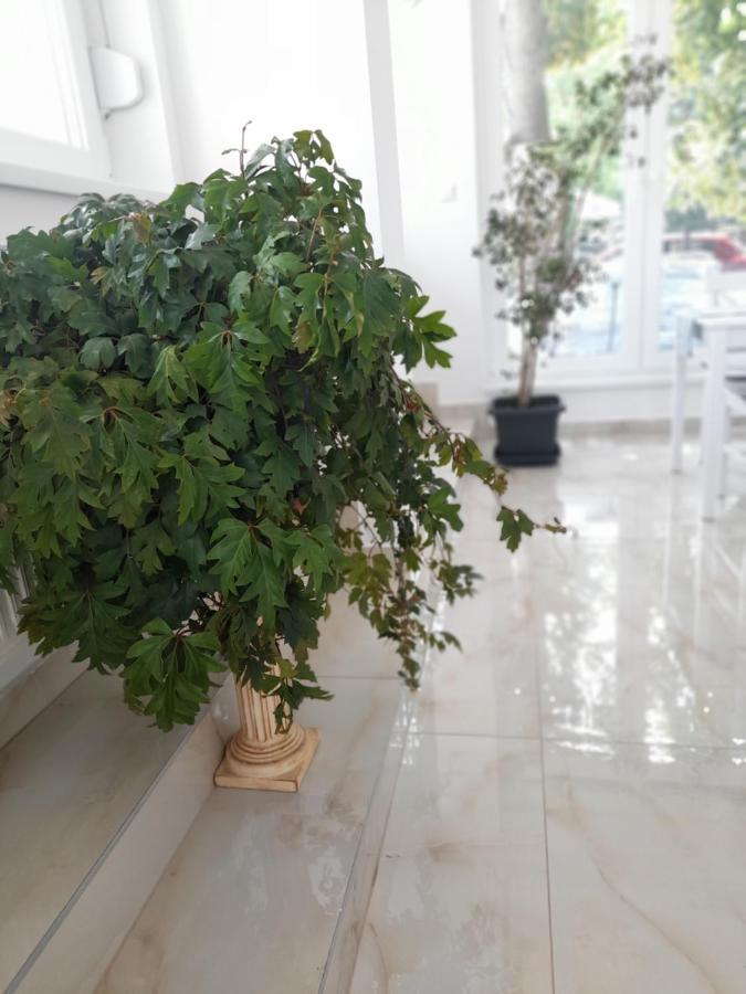 مبيت وإفطار Hajdúszoboszló Orion Panzio المظهر الخارجي الصورة